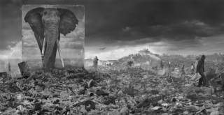 Fotoistanbul Beşiktaş Uluslararası Fotoğraf Festivali!