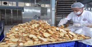 MEREK'te hizmet standartları yükseliyor