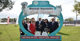 Büyükşehir ve Vestel Hayvanlara Umut Oldu
