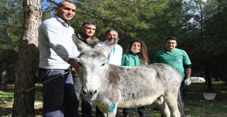 Mersin?in Bir Ucundan Bir Ucuna Kurtarma Mücadelesi