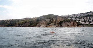 MUDANYA’DA KULAÇLAR BARIŞ, TARİH VE DOĞA İÇİN ATILDI