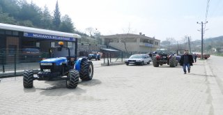 MUDANYA’DAN BİR İLK DAHA!