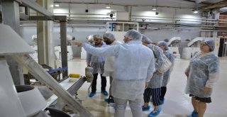 GENÇLERİN MARKA EKMEK'TE TERCİHİ 'HALK EKMEK'