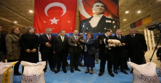 BÜYÜKŞEHİR, 2 BİN 800 YETİŞTİRİCİYE 1400 TON KOYUN SÜT YEMİ DAĞITTI