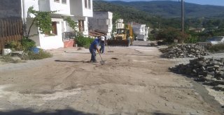 MUDANYA BELEDİYESİ İLÇENİN HER YERİNDE