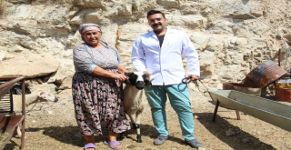 SAKIZ KOÇLARININ VERİMİ ÜRETİCİLERİN YÜZÜNÜ GÜLDÜRDÜ