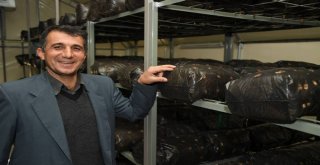 Büyükşehir Çiftçiye Umut Olmayı Sürdürüyor