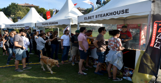 Sokak Lezzetleri Festivali Sona Erdi!