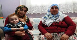 Büyükşehir Personeli Minik Berat?ın Hayatını Kurtardı
