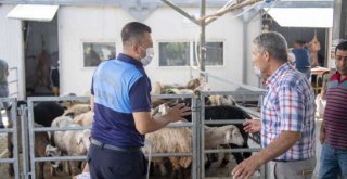 Büyükşehir Ekipleri Kurban Bayramı'nda da sahada