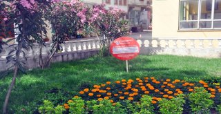MUDANYA BELEDİYESİ BİR İLKİ DAHA GERÇEKLEŞTİRDİ  “ÜCRETSİZ İNTERNET ÜÇ BÖLGEDE HİZMETE GİRDİ”