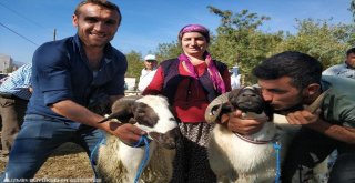 Mutluluğun resmi