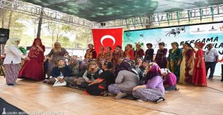 ​Manifesto gibi