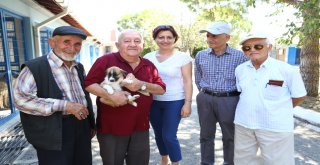 Huzurevi sakinlerinden can dostlara destek