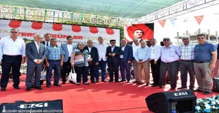 1400 belediyeden farkımız...