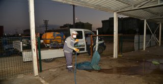 Kurban kesim yerlerinde dezenfeksiyon çalışması