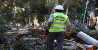 Tarsus'ta Rüzgar Etkili Oldu