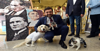 Bir Nefeslik Can Karma Sergisi Açıldı!