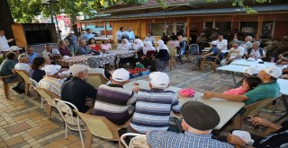 BÜYÜKŞEHİRİN DOMATESLERİNDEN ÇİFTÇİYE 5 MİLYON GELİR