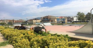 GEMLİK'TE PARKLAR PIRIL PIRIL