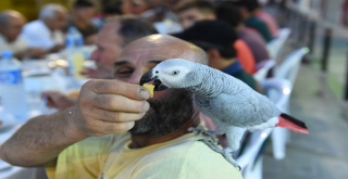Ramazan Beşiktaş'ta Güzel!