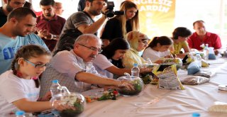 'Hayal Dünyası Teraryum Atöl...