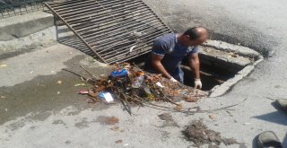 ZEYTİNDALI EKİBİ, MUDANYA’NIN 36 MAHALLESİNİ TERTEMİZ YAPTI!