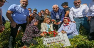 GASTROANTEP'LE 3 GÜNDE 250 BİN KİŞİ LEZZETE DOYDU
