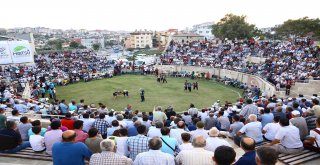 9. ABA GÜREŞİ DÜNYA KUPASI SAHİPLERİNİ BULDU