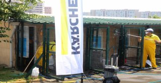 Bakırköy Belediyesi Hayvan Barınağı Profesyonel Ekiplerce Temizlendi