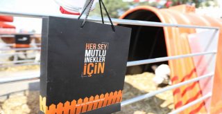 Mersin Büyükşehir'den Buzağı Barınağı Desteği