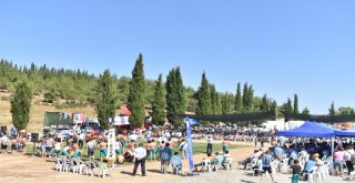 FESTİVAL RÜSTEM PEHLİVAN YAĞLI GÜREŞLERİ İLE BAŞLADI
