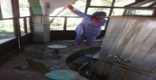 DÜNYA BARIŞ ŞEHRİ MUDANYA, HER YERDE!