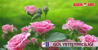 BÜYÜKŞEHİR'DEN MİS KOKULU EĞİTİM