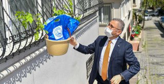ÜSKÜDAR’IN HANIM SULTANLARINA 5 BİN MOR SALKIM FİDANI DAĞILTILDI