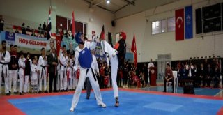 Türk Dünyası'nın Hapkido Kardeşliği