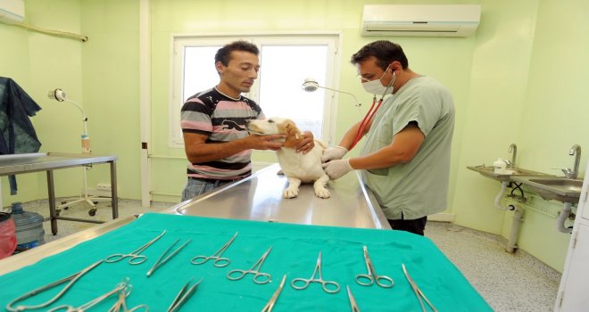 BÜYÜKŞEHİR'DEN PET-SHOP EĞİTİMİ