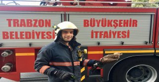 Canlıların imdadına Büyükşehir yetişiyor