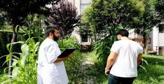 Gençleri Bekleyen Sinsi Tehlike: Çakmak Gazı