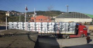 MUDANYA’YA 300 YENİ ÇÖP KONTEYNIRI