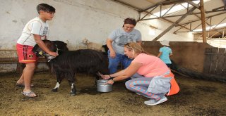 ÜRETİM KAMPI MAHMUDİYE'DE