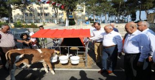 Mersin Büyükşehir'den Buzağı Barınağı Desteği