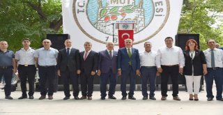 56. Mut Kayısı Festivali Tüm Görkemiyle Başladı