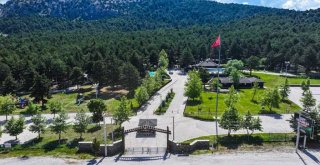 Kefe Yaylası doğa tutkunlarını bekliyor