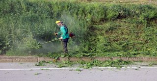 MUDANYA’DA BAHAR TEMİZLİĞİ BAŞLADI