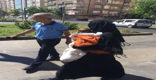 Zabıtadan dilenci operasyonu