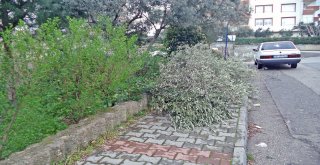 ÇEVRE KİRLİLİĞİNE ZABITA MÜDAHALESİ
