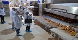 GENÇLERİN MARKA EKMEK'TE TERCİHİ 'HALK EKMEK'