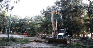 Tarsus'ta Rüzgar Etkili Oldu