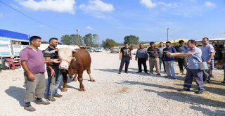 Kurban Yakalama Timi Göreve Hazır